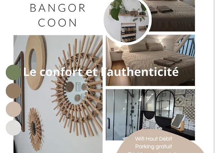 Le Bangorcoon Duplex Vero