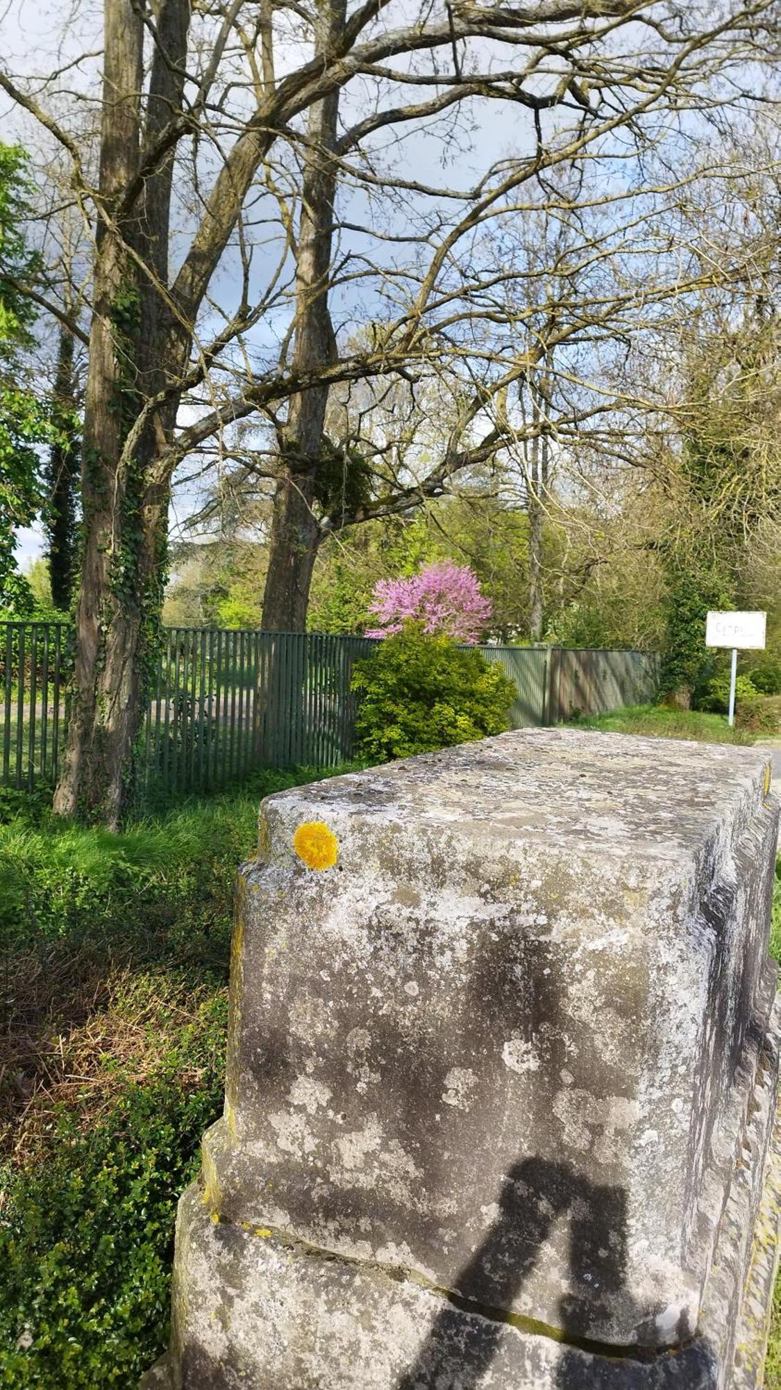 Le Bangorcoon Duplex Vero Forges (Seine-et-Marne)
