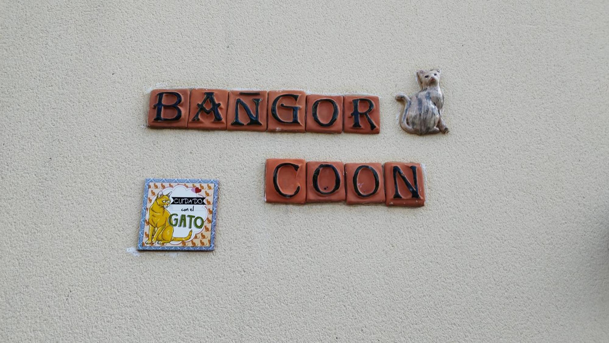 Apartamento Le Bangorcoon Duplex Vero *