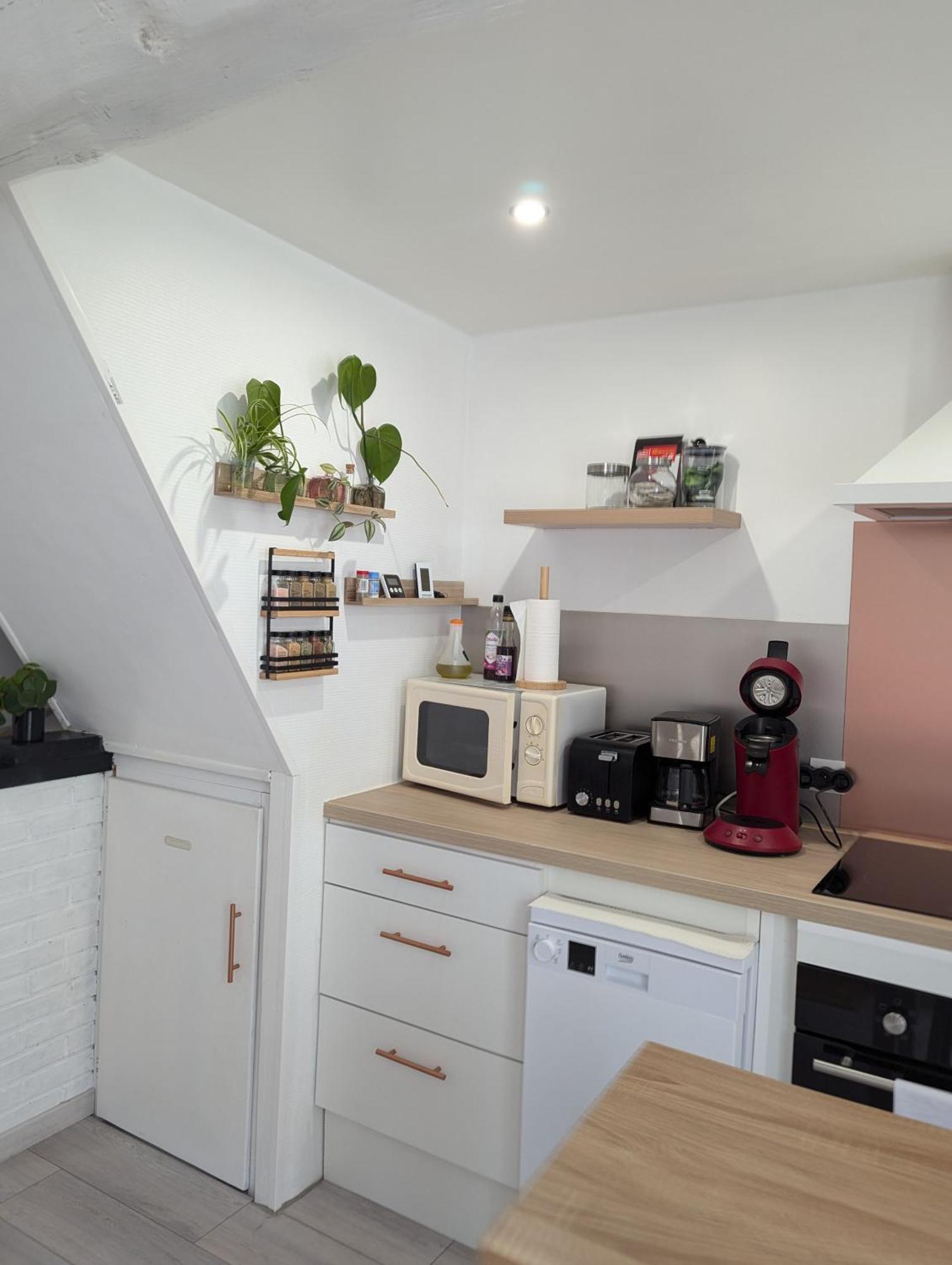Le Bangorcoon Duplex Vero *
